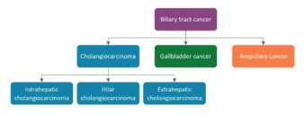 biliary tract cancers
